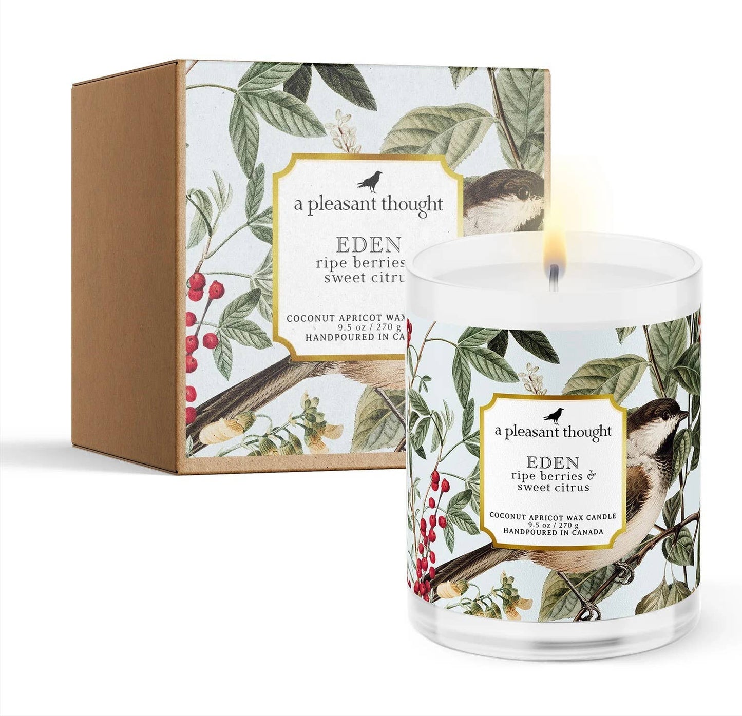 A Pleasant Thought - Eden | Ripe Berries & Sweet Citrus | Jar Candle: Wood