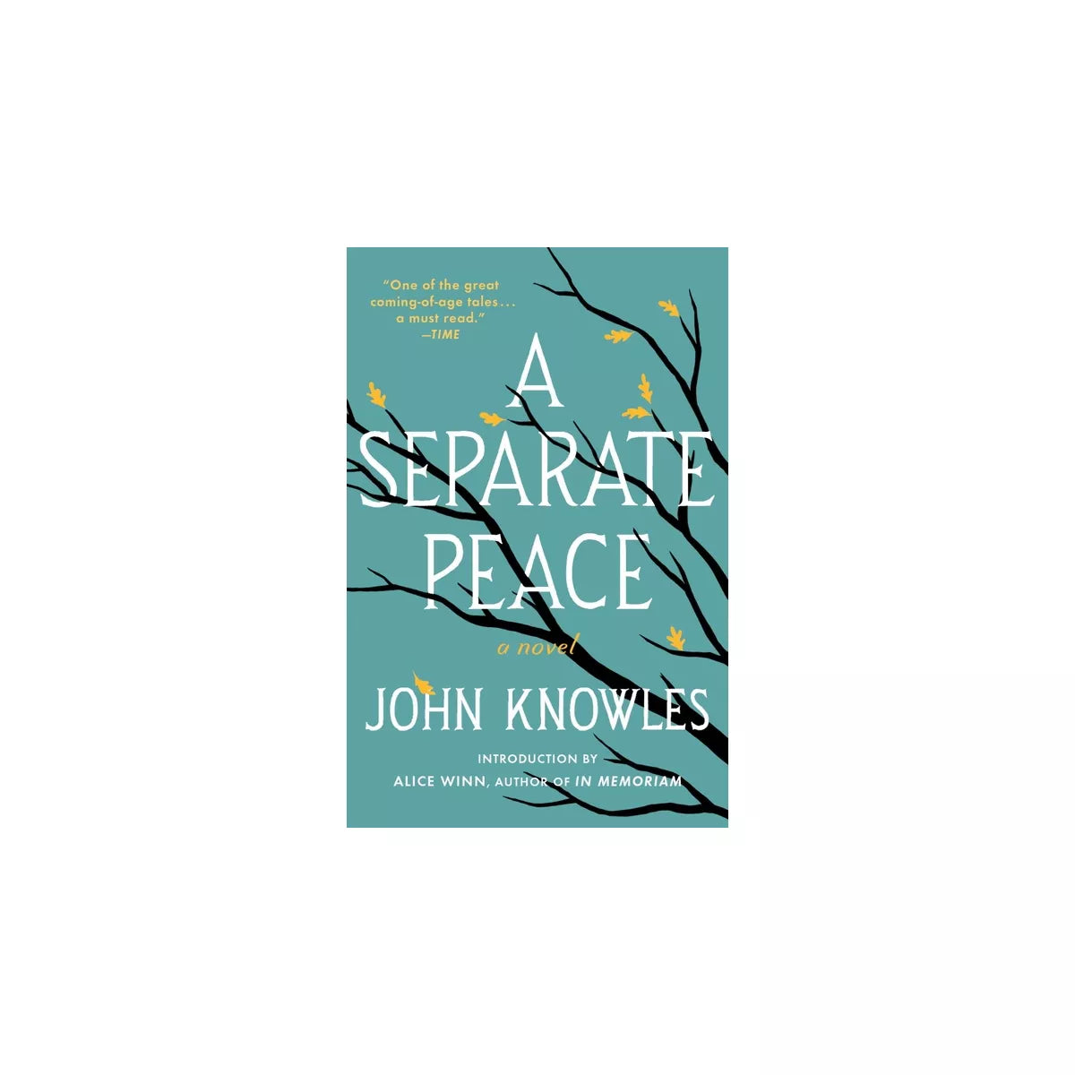 A Separate Peace by John Knowles