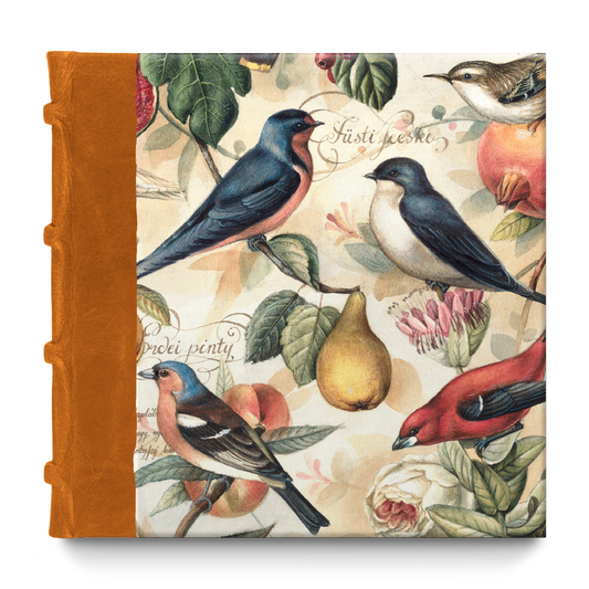 Bomo Art Budapest -Birds and Fruits Square Journal 22x22 cm (Half-Leather Bound)